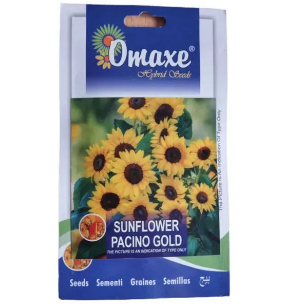 Omaxe Sunflower Pacino Gold Flower Seed- 50 Seeds